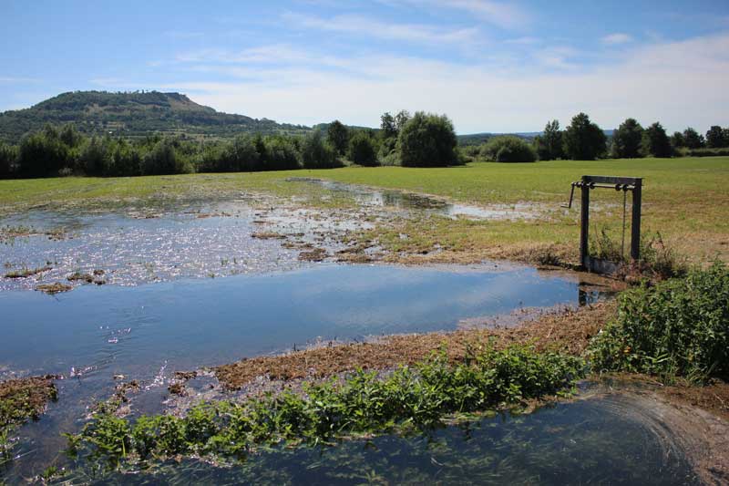 Mühl- and Auerberg meadows near Kirchehrenbach in Franconia